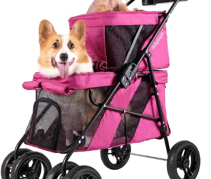 Explore Comfort and Style: The Ibiyaya Double Dog Stroller Review