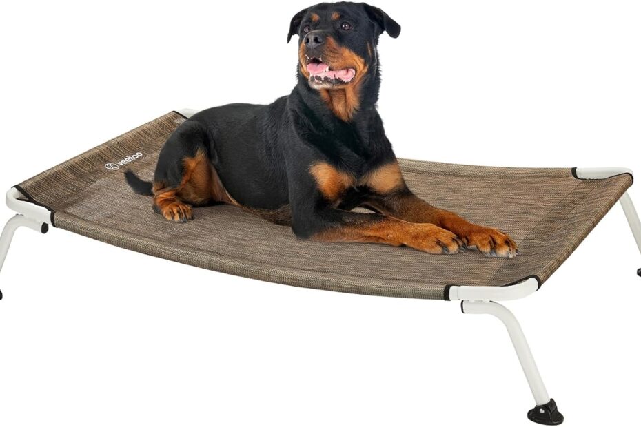 Explore Comfort: The Veehoo Elevated Dog Bed for Ultimate Outdoor Relaxation