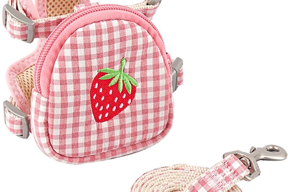 Explore the Outdoors: Yuehuam Pet Backpack Harness Review for Adventurous Cats and Small Dogs