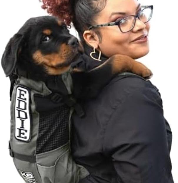 K9 Sport Sack Trainer Review: The Perfect Backpack for Your Small Dog Adventures!