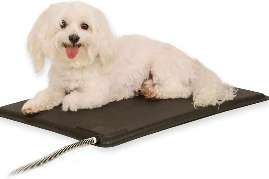 Keep Your Pets Cozy: A Review of the K&H Heated Outdoor Dog Pad