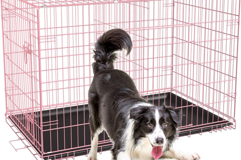 Keep Your Pup Cozy: A Review of the FDW XL Dog Crate in Pink!