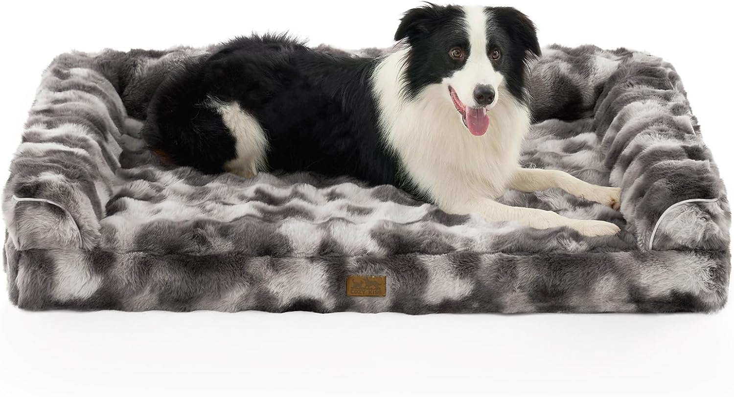 Travel in Style: The Pawaboo Cat Carrier Backpack Review