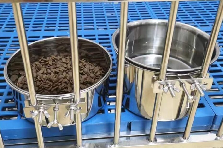 No Spill Dog Crate Bowls: The Ultimate Solution for Mess-Free Feeding!