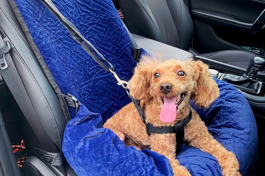 Ride in Comfort: The Ultimate Dog Car Seat for Small and Medium Dogs