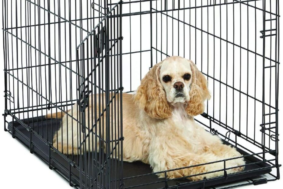 Secure Comfort: A Review of the MidWest Homes Folding Dog Crate