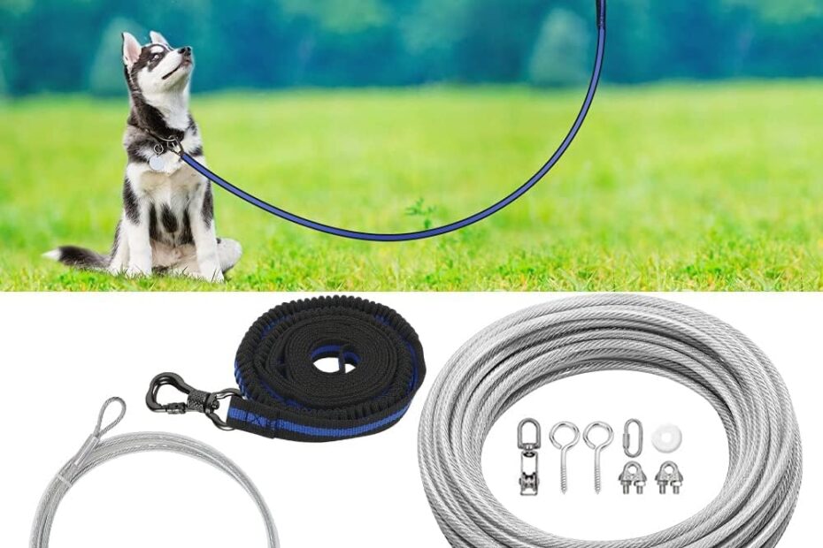 Secure Your Dog: Review of the XiaZ 100ft Tie Out Cable with Bungee Runner