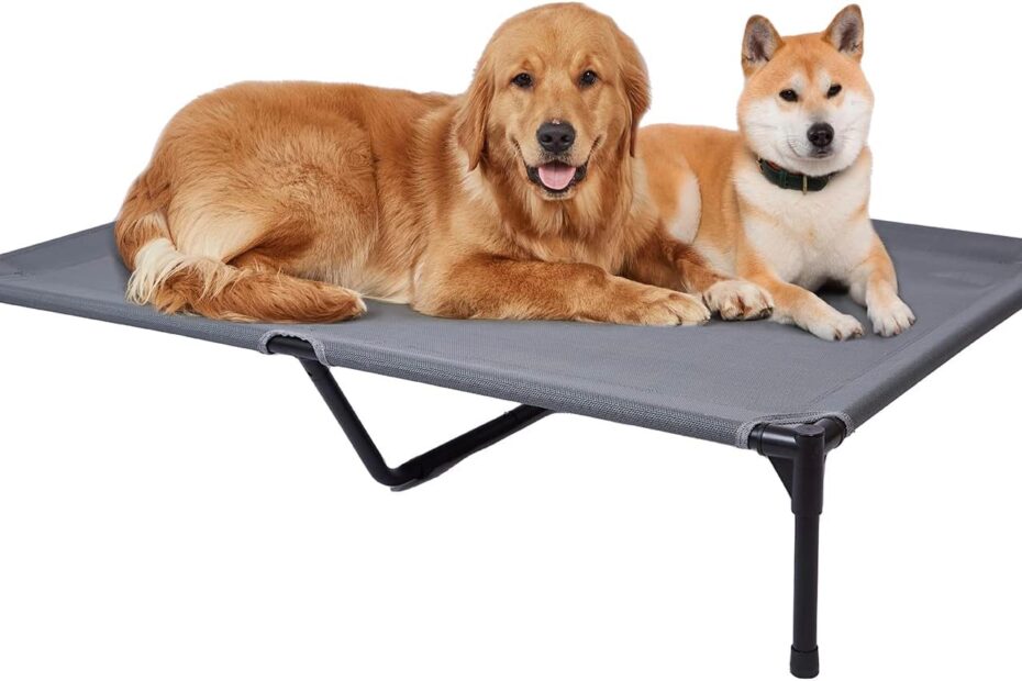 Stay Cool and Comfortable: Review of the Pettycare Elevated Outdoor Dog Bed for XL Dogs