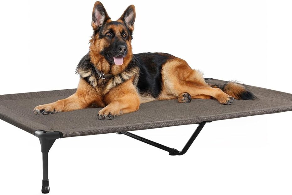 Stay Cool and Comfortable: The Veehoo Elevated Dog Bed Review