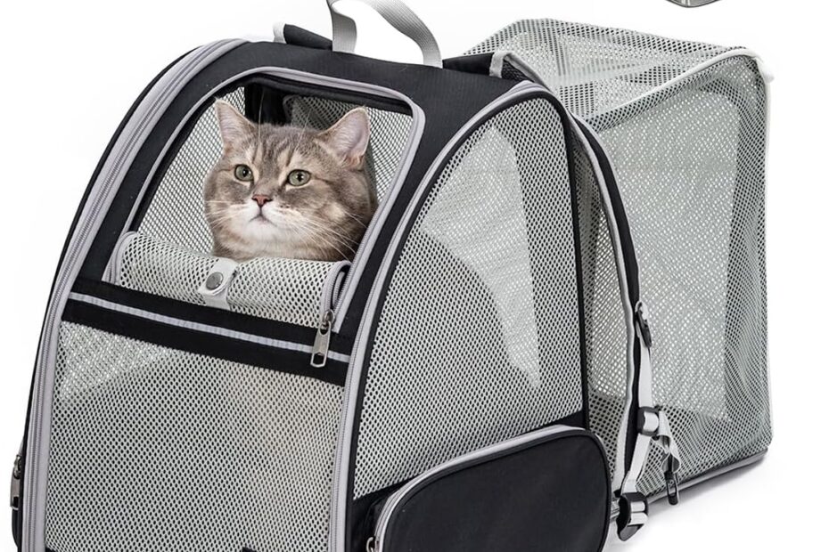 The Ultimate Cat & Dog Backpack Carrier: Stylish, Expandable, and Travel-Ready!