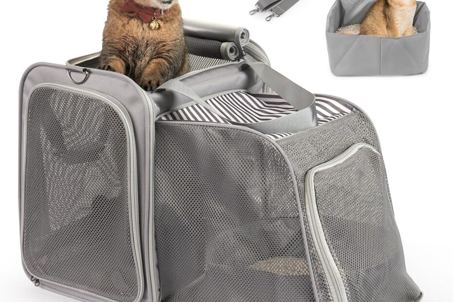 The Ultimate Cat Travel Solution: LitaiL Expandable Carrier with Litter Box Review!