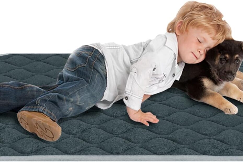 The Ultimate Comfort: FurryBaby Anti-Slip Dog Bed Mat Review