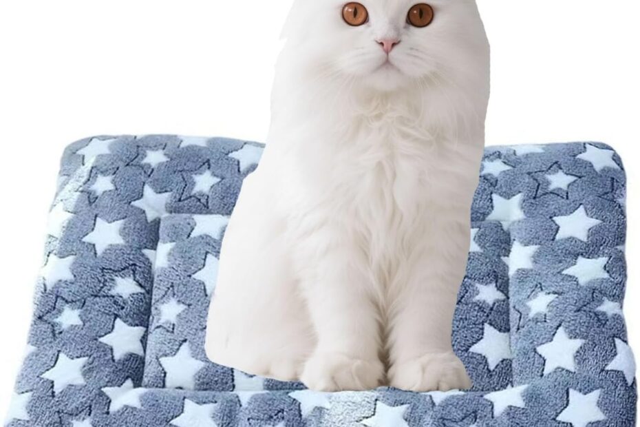 The Ultimate Comfort: Top-Rated Dog Bed Mat for Your Pet!