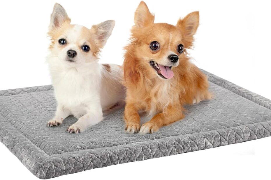 The Ultimate Cozy Retreat: Review of the BEAUTYZOO Dog Bed Crate Mat