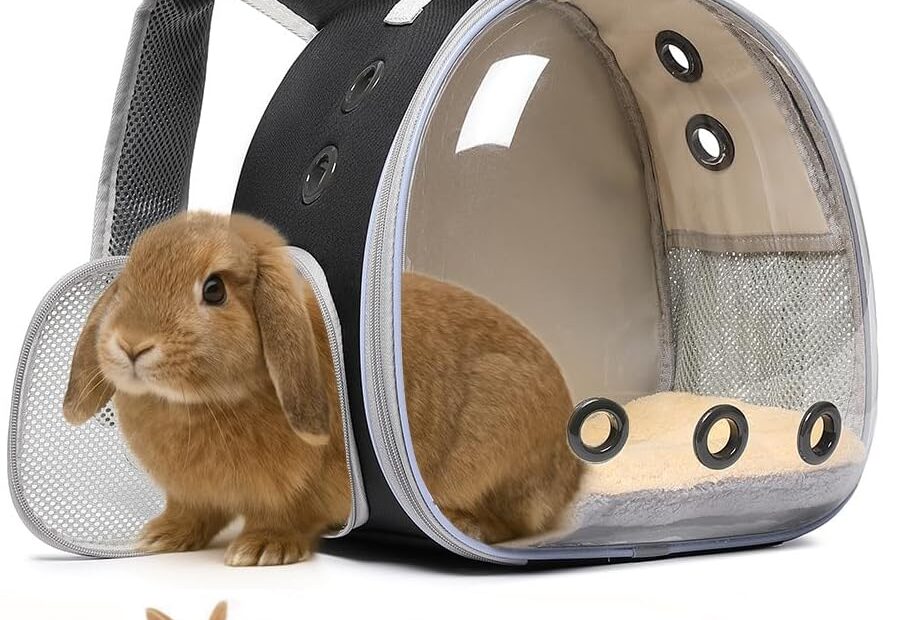 The Ultimate Small Animal Carrier: Perfect for Travel and Vet Visits!