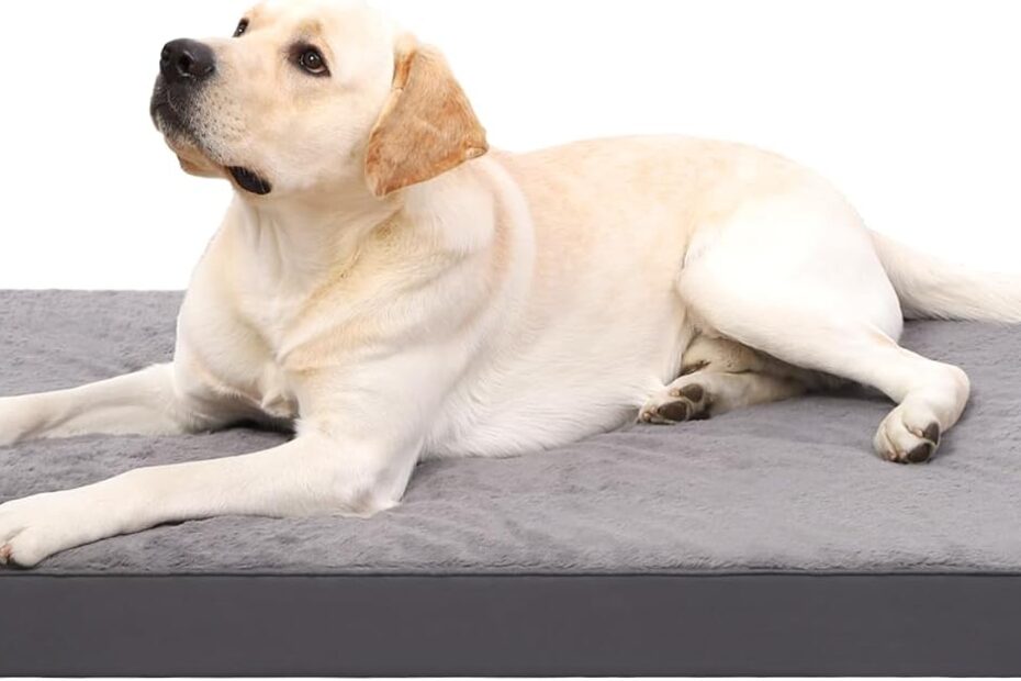 Transform Your Dog's Comfort: A Review of the KSIIA Orthopedic Crate Bed