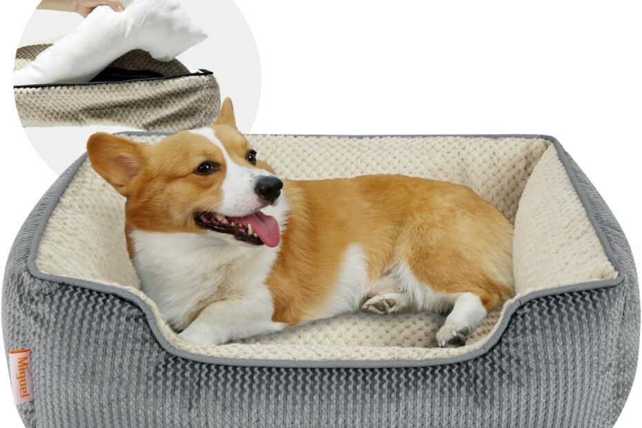 Transform Your Pet's Comfort: Review of the Miguel Removable Washable Dog Bed