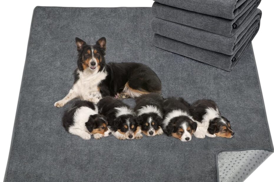 Transform Your Space: Discover the LOOBANI Extra Large Reusable Dog Mats!