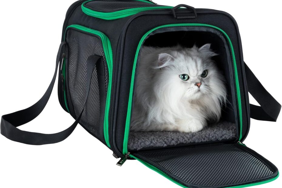 Travel Comfortably: Review of the Quick-in Pet Carrier for Cats & Dogs