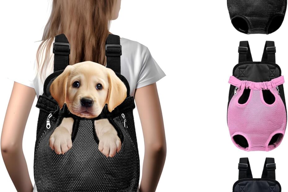 Travel in Comfort: Review of the Hands-Free Pet Carrier Backpack for Small & Medium Pets