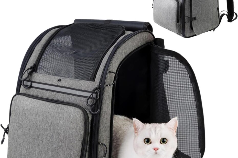 Travel in Comfort: Review of the Premium Dog & Cat Carrier Backpack