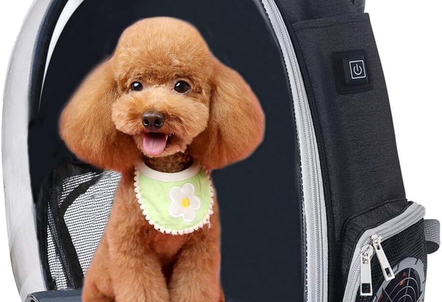 Travel in Comfort: The Ultimate Active Cooling Pet Backpack Carrier Review
