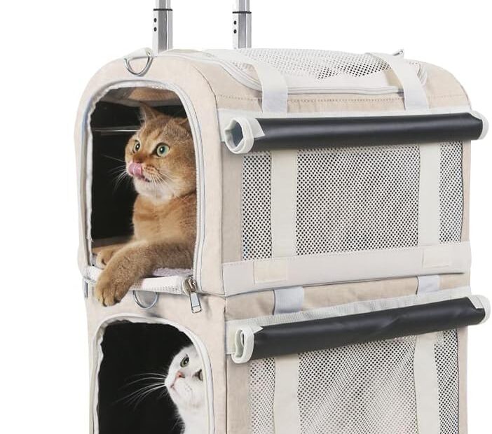Travel in Style: Review of the Extra Large Double Pet Carrier for Your Furry Friends