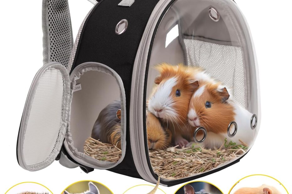 Travel in Style: The Ultimate Guinea Pig & Small Pet Carrier Backpack with Bubble Window