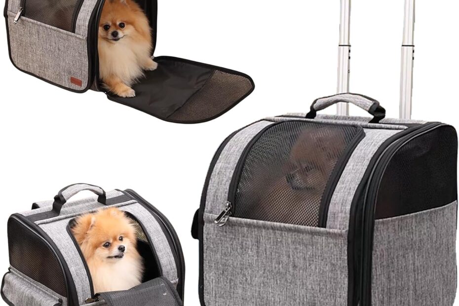 Travel in Style: The Ultimate HSC PET Cat Stroller for Your Furry Friend!