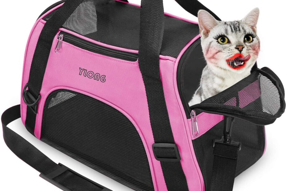 Travel with Ease: YLONG Airline Approved Cat Carrier Review