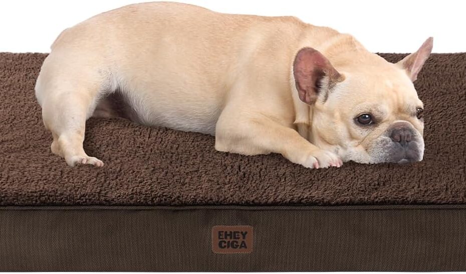 Ultimate Comfort: EHEYCIGA Orthopedic Dog Bed Review for Small Dogs