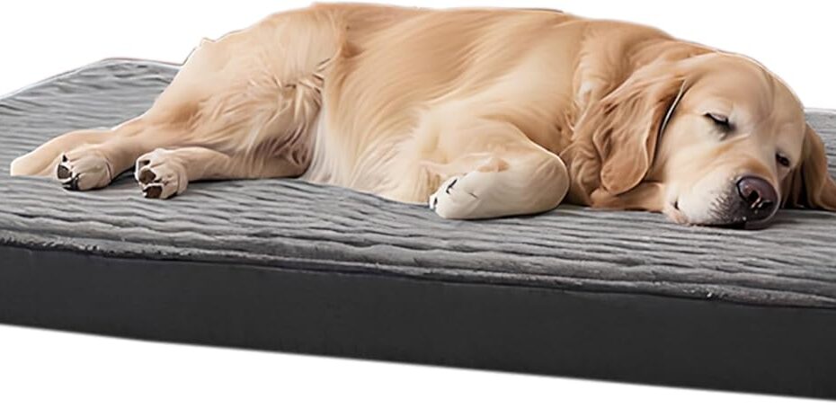 Ultimate Comfort for Giants: Review of the Indestructible XL Orthopedic Dog Bed