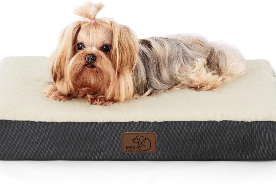 Ultimate Comfort for Tiny Tails: Bedsure Dog Bed Review