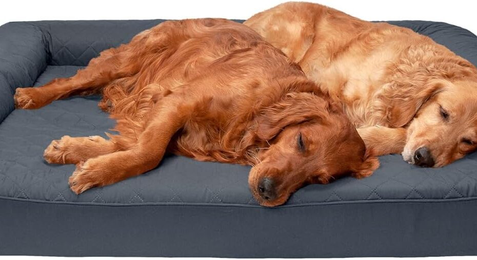 Ultimate Comfort for Your Canine: A Review of the Furhaven Orthopedic Dog Bed