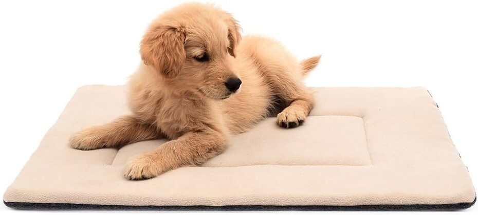 Ultimate Comfort for Your Pup: Dog Bed Crate Pad 22" Review