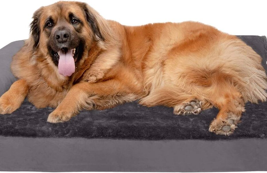 Ultimate Comfort for Your Pup: Furhaven Orthopedic Dog Bed Review