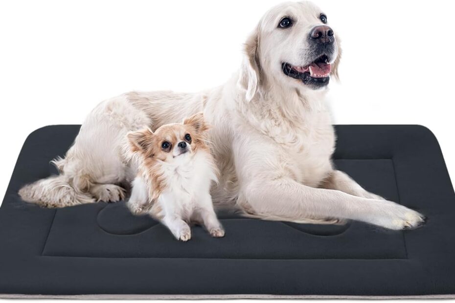 Ultimate Comfort for Your Pup: JoicyCo Extra Large Dog Bed Review