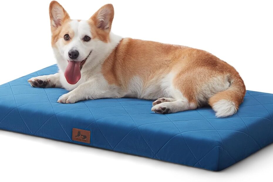 Ultimate Comfort for Your Pup: Review of the Orthopedic Dog Crate Bed