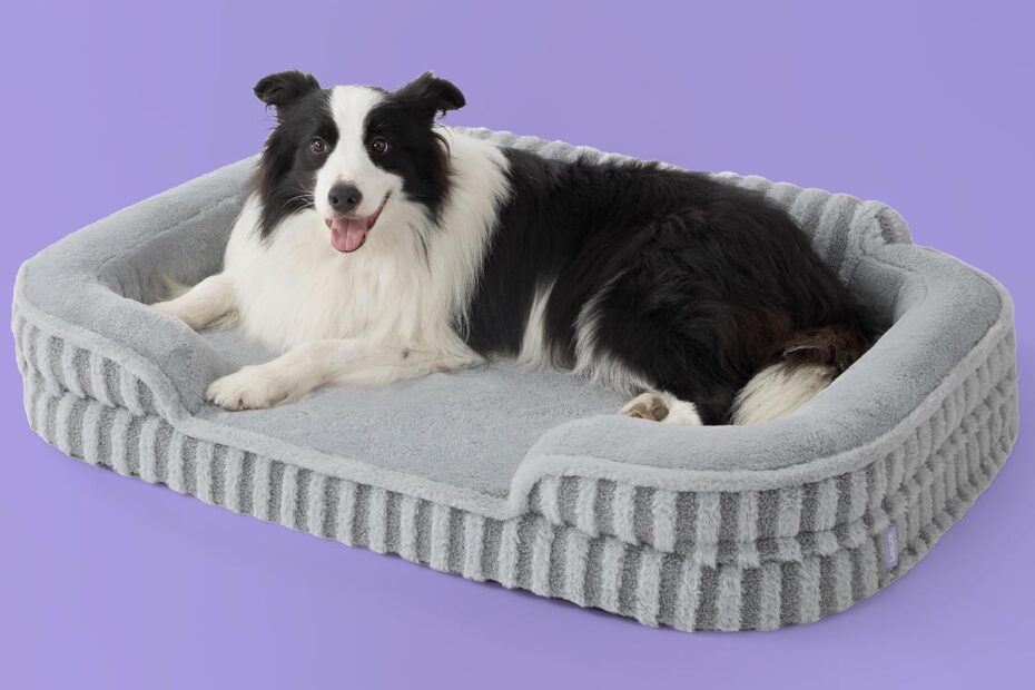 Ultimate Comfort: LE SURE Orthopedic Bed for Extra Large Dogs Reviewed!