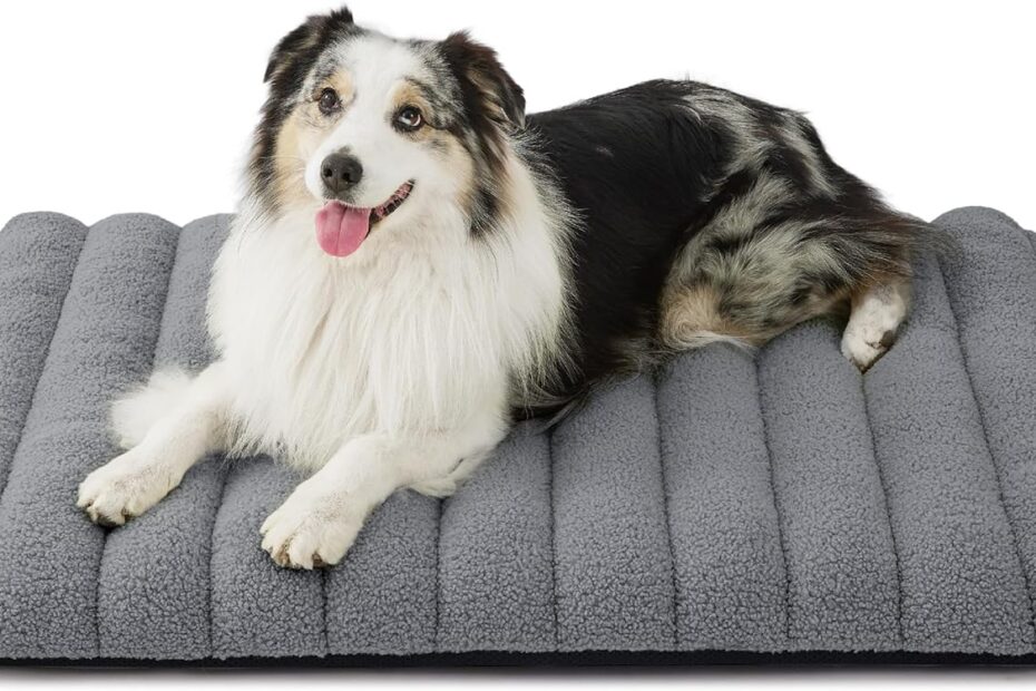 Ultimate Comfort: LE SURE Orthopedic Dog Bed Review for Happy Pups!