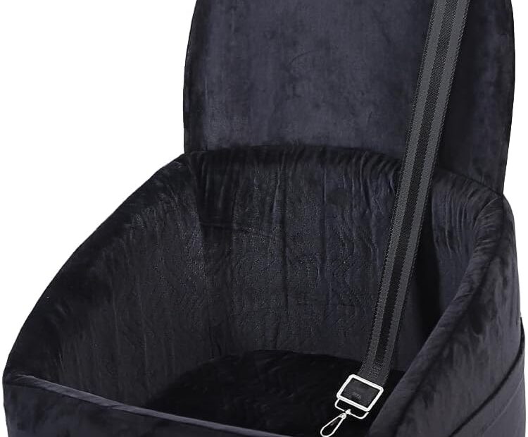 Ultimate Comfort on the Go: Review of the Dog Car Seat for Small to Medium Dogs