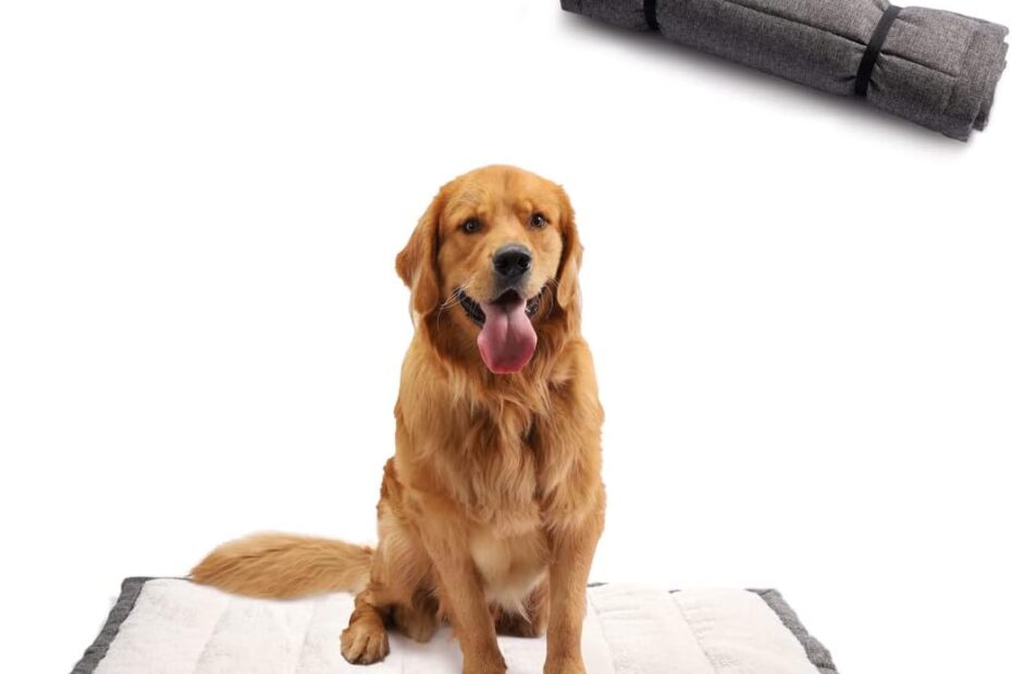 Ultimate Comfort on the Go: Review of the Travel Dog Bed for Your Adventure-Ready Pet