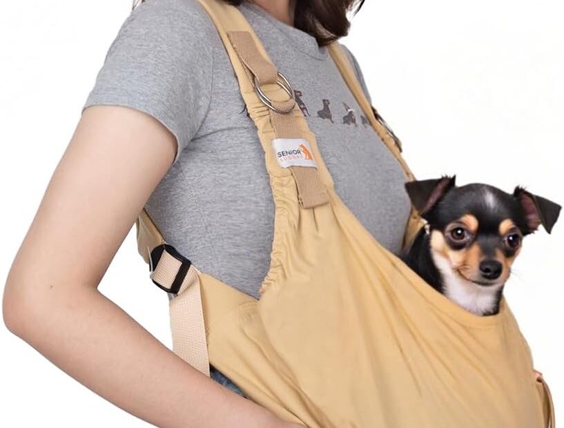 Ultimate Comfort on the Go: Reviews of Dog Sling Carriers for Small Dogs and Cats