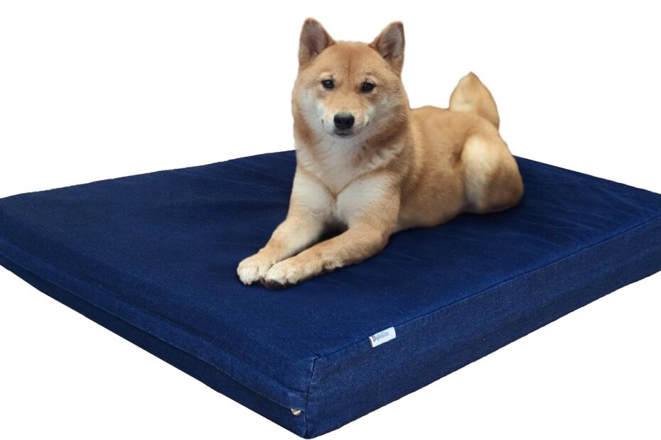Ultimate Comfort: Review of Dogbed4less Orthopedic Memory Foam Pet Bed