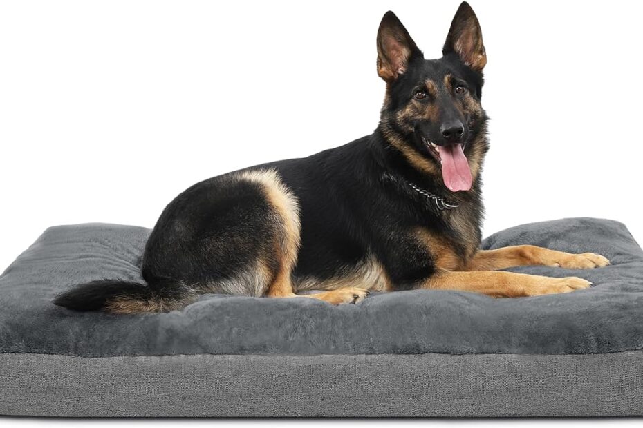 Ultimate Comfort: Review of the 35x23 Inch Dog Bed for Medium to Large Dogs
