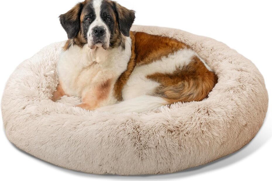 Ultimate Comfort: Review of the Best Friends by Sheri Calming Donut Bed for Large Pets
