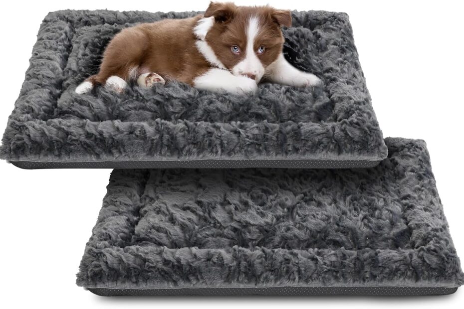 Ultimate Comfort: Review of the Deluxe Washable Dog Bed for All Breeds