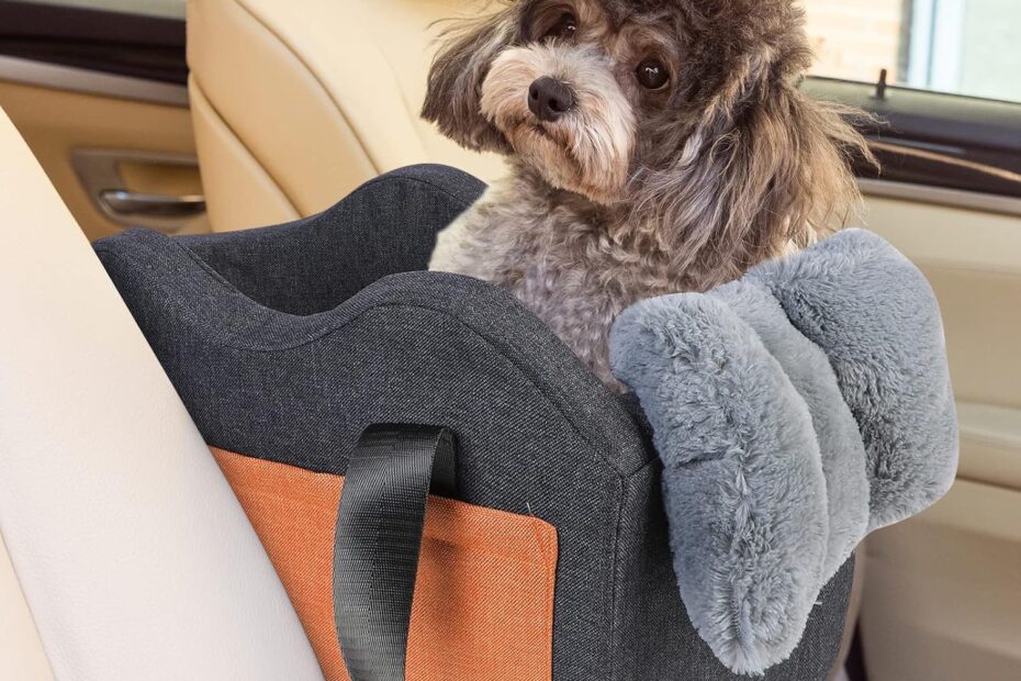 Ultimate Comfort: Review of the Dog Car Seat for Small Dogs