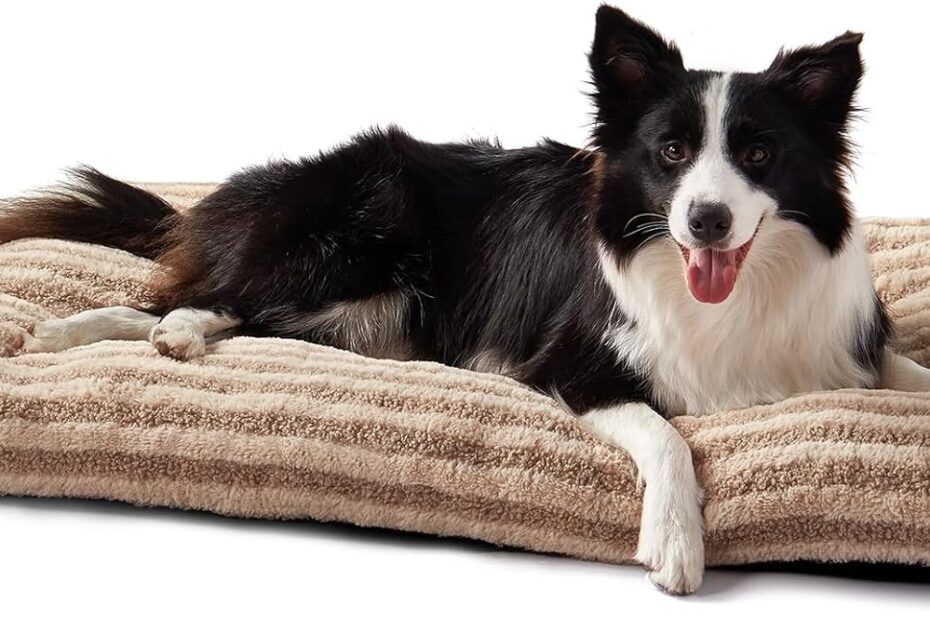 Ultimate Comfort: Review of the FURTIME Washable Dog Bed for Large Breeds