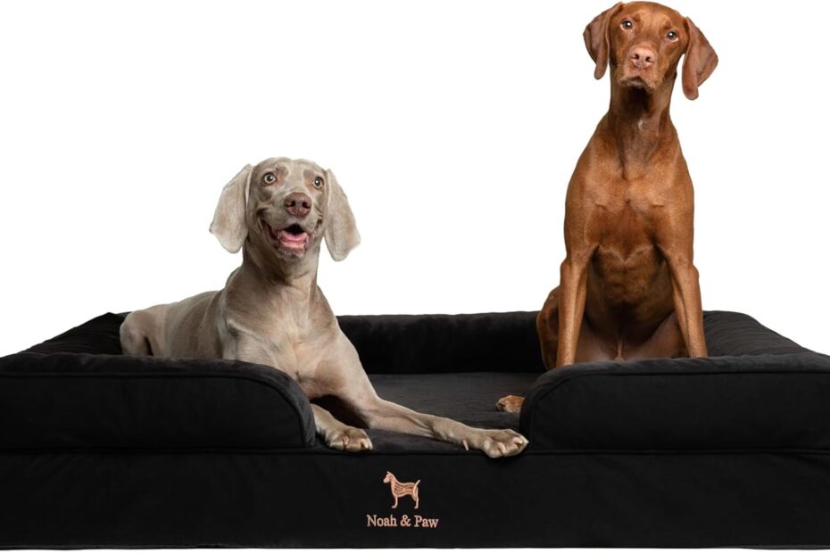 Ultimate Comfort: Review of the NOAH & PAW Giant Orthopedic Dog Bed